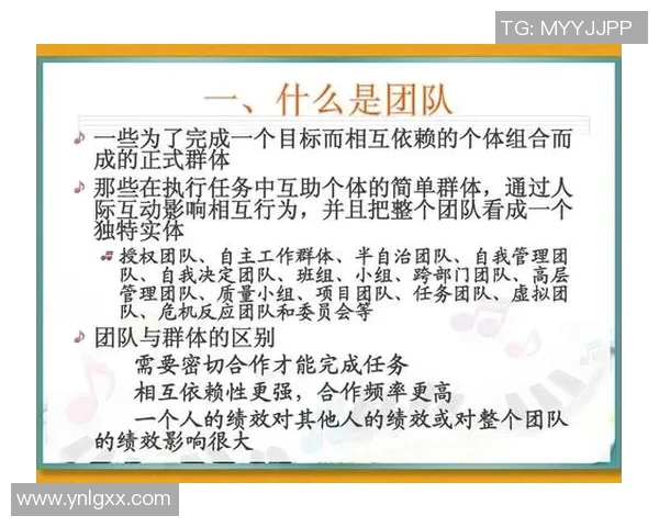 成都篮球队进攻体系解析：战术创新与团队协作的完美结合