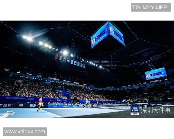 深圳排球队总决赛之路：从默默无闻到荣耀巅峰的奋斗历程