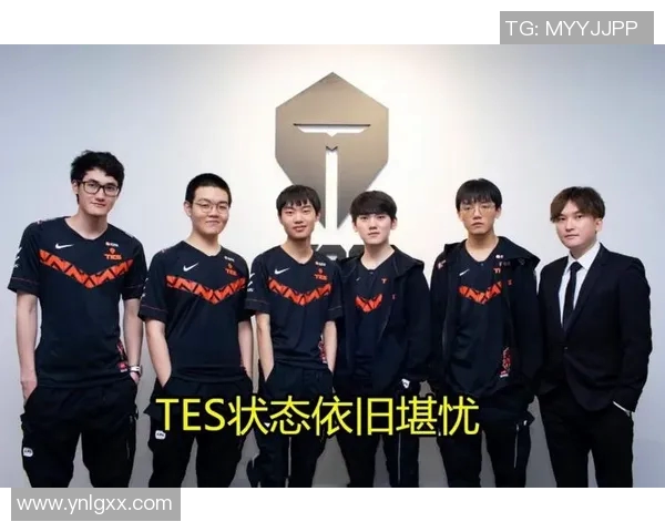 王者荣耀专题：深入探讨LNG战队的团队协作与默契配合技巧